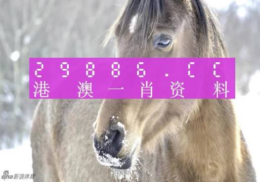 澳門精準(zhǔn)一肖一碼100%,澳門精準(zhǔn)一肖一碼，揭秘預(yù)測背后的秘密與真相