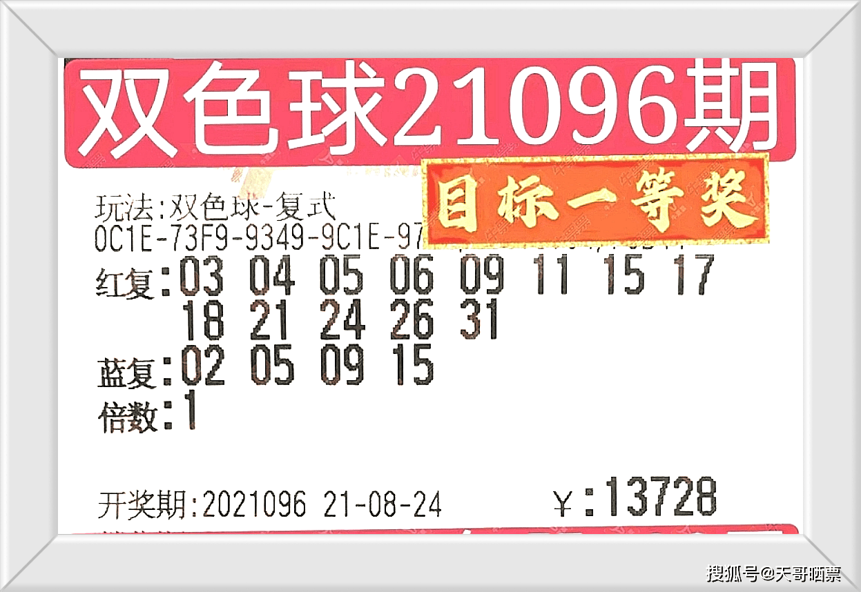 今晚澳門特馬開的什么號(hào)碼2025,今晚澳門特馬開出的神秘號(hào)碼，探索未來(lái)的幸運(yùn)之門（2023年預(yù)測(cè)分析）