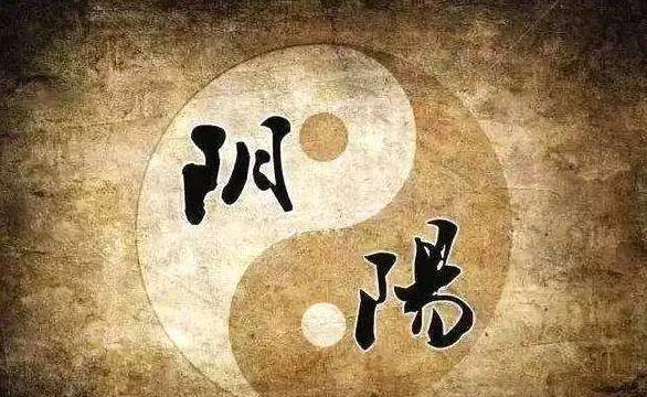 管家婆最準(zhǔn)一碼一肖,管家婆最準(zhǔn)一碼一肖，揭秘神秘預(yù)測背后的真相