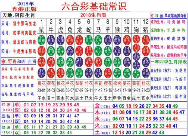 2024澳門正版資料大全資料生肖卡,探索澳門正版資料大全與生肖卡的獨特魅力——2024年展望